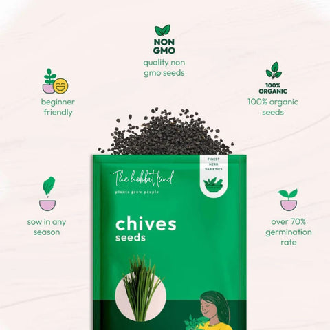 Chives Medium Leaf