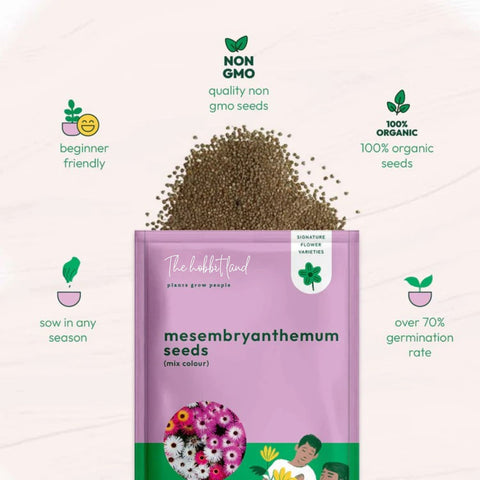 Mesembryanthemum - Mix