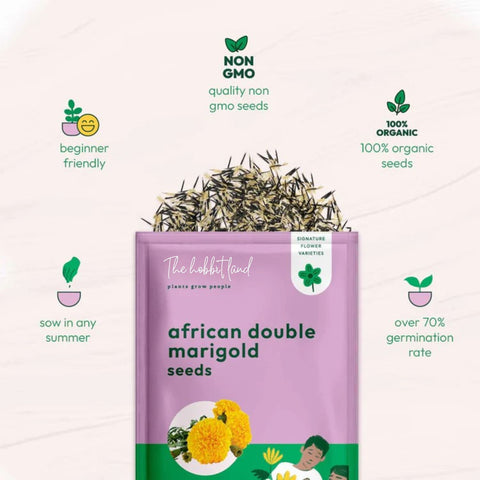 African Marigold Yellow