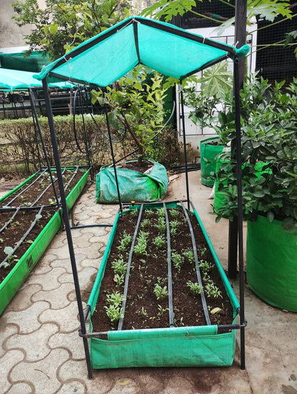 Terrace Gardening