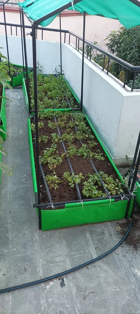 Terrace Gardening