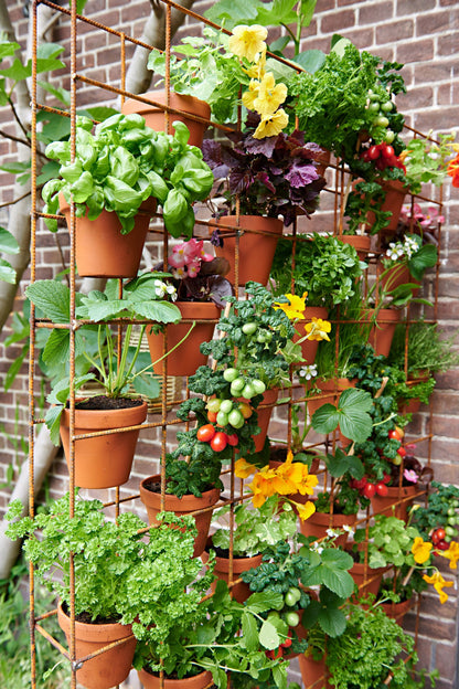 Vertical Garden Installation