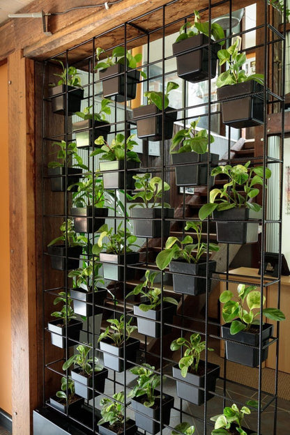 Vertical Garden Installation