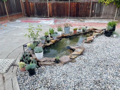 Ponds & Fountains - Setup & Maintenance