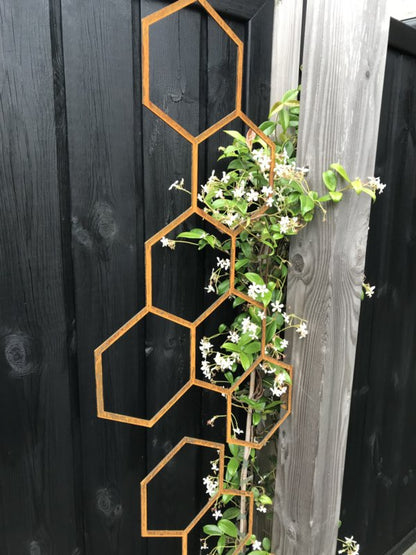 Vertical Garden Installation