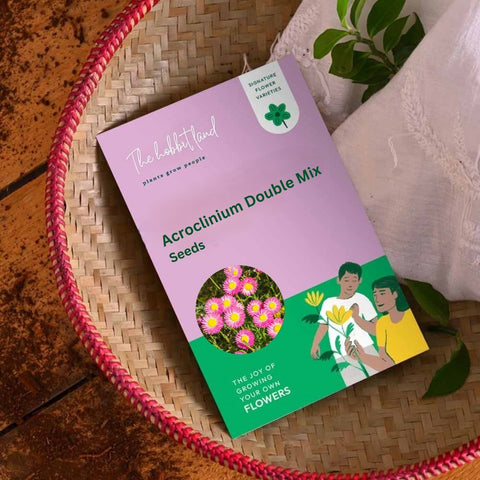 Acroclinium Double - Mix