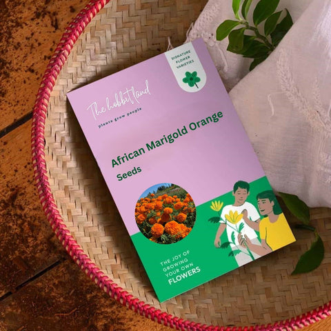 African Marigold Orange