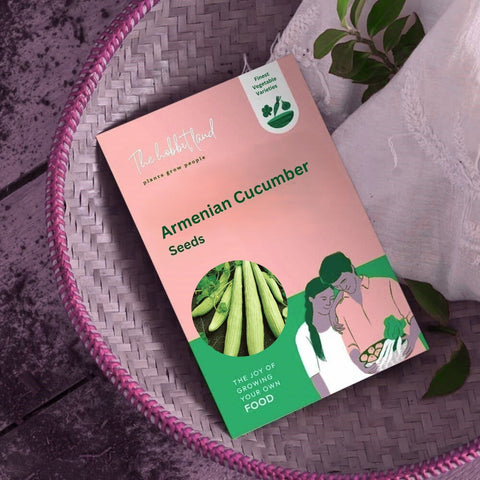 Armenian Cucumber