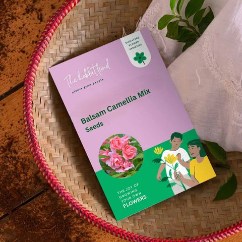 Balsam Camellia - Mix