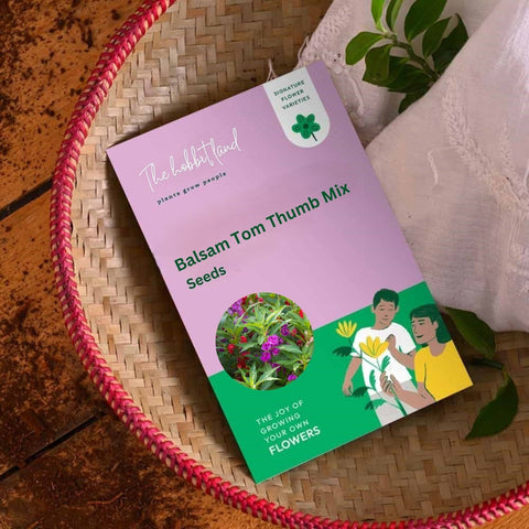 Balsasm Tom Thumb - Mix