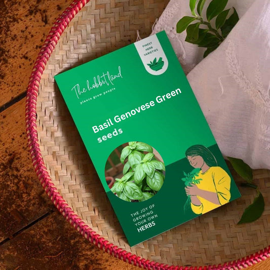 Basil Genovese Green