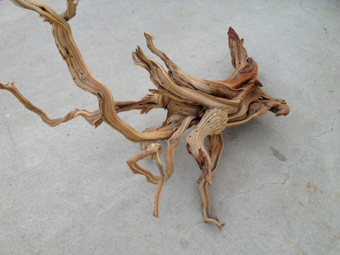 Manzanita Driftwood