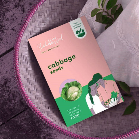 Cabbage