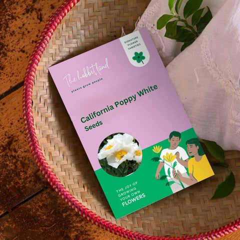 California Poppy White
