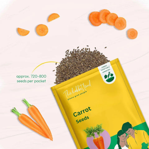 Carrot