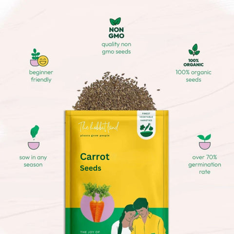 Carrot