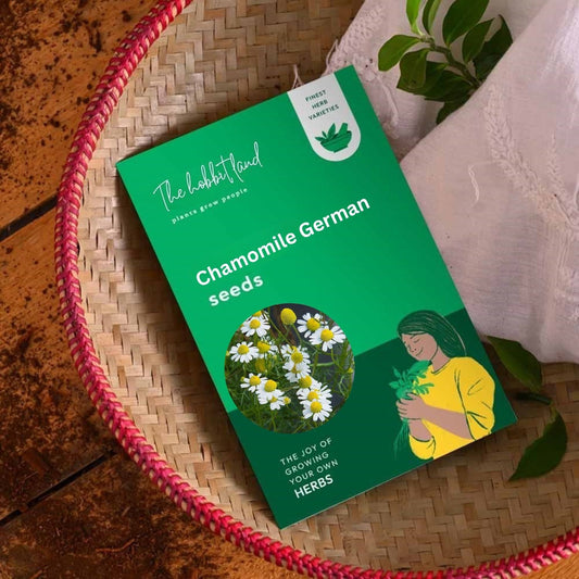 Chamomile German