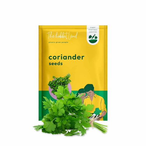 Coriander
