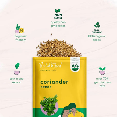 Coriander