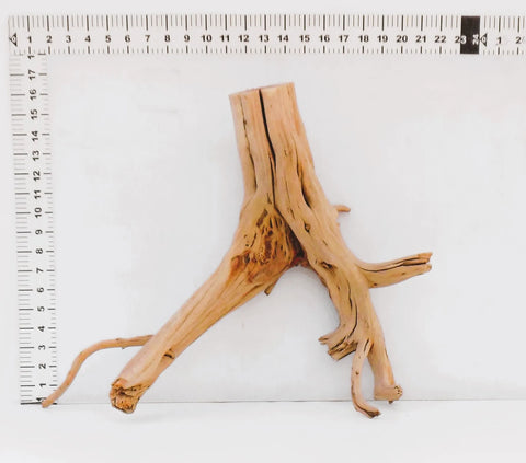 Manzanita Driftwood