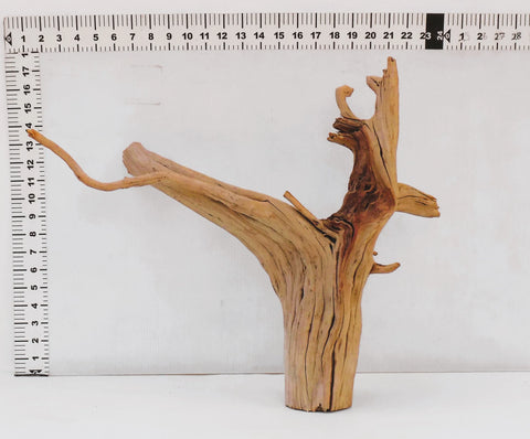 Manzanita Driftwood