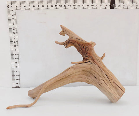 Manzanita Driftwood