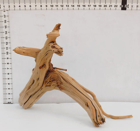 Manzanita Driftwood