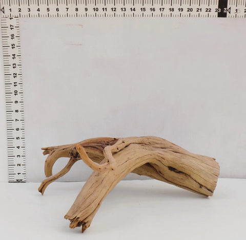 Manzanita Driftwood