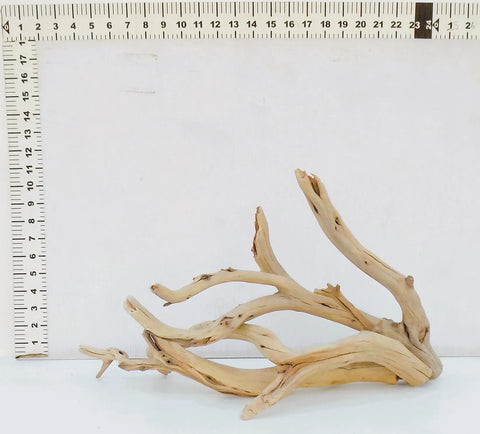 Manzanita Driftwood