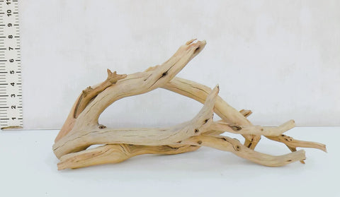 Manzanita Driftwood