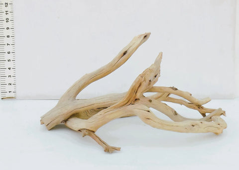 Manzanita Driftwood