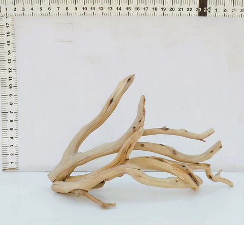 Manzanita Driftwood