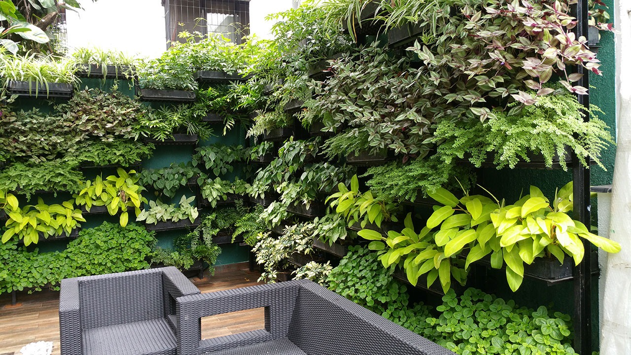 Vertical Garden Installation