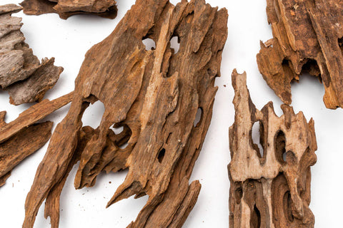 Dragon Wood