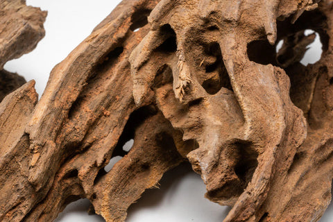 Dragon Wood