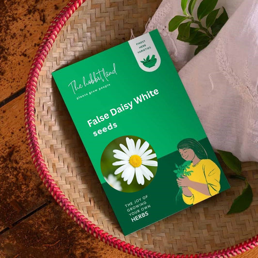 False Daisy White