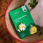 False Daisy White