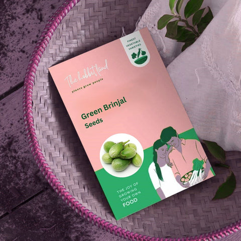 Green Brinjal