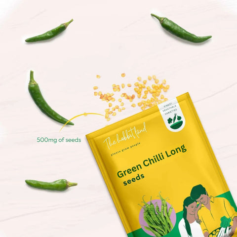 Green Chilli Long
