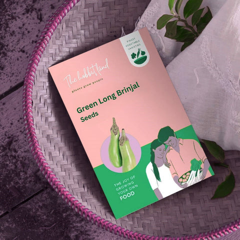 Green Long Brinjal
