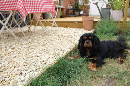 Outdoor Garden Landscape