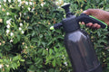 2 Litre Moon Sprayer - Black