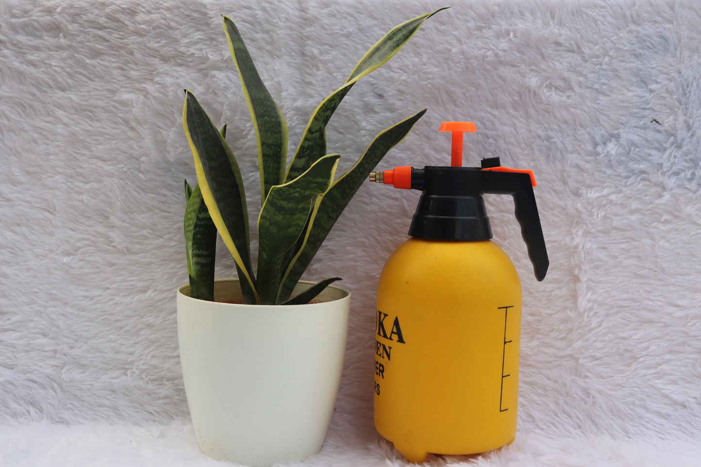 2 Litre Pressure Sprayer with Locking Cap