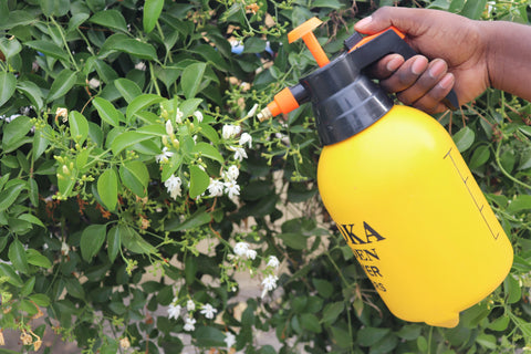 2 Litre Pressure Sprayer with Locking Cap