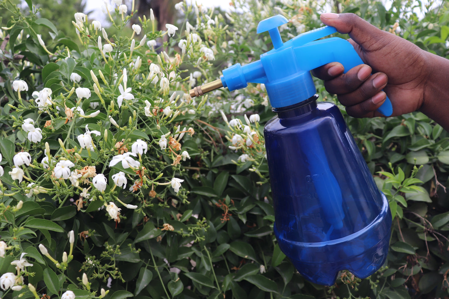 1.5 Litre Pressure Sprayer