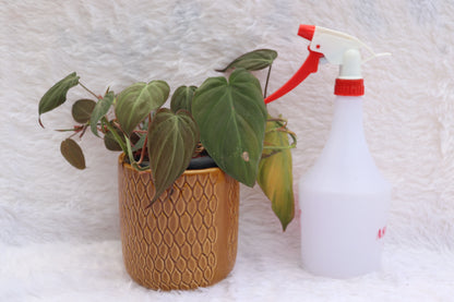 1 Litre Bottle Sprayer