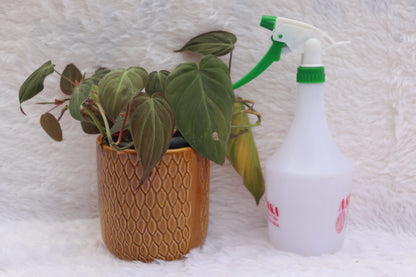 1 Litre Bottle Sprayer