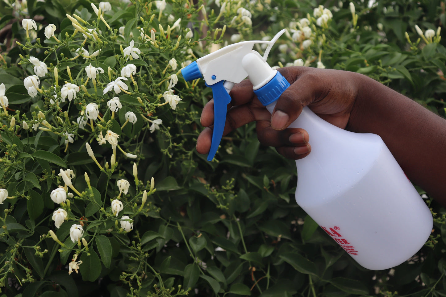 1 Litre Bottle Sprayer