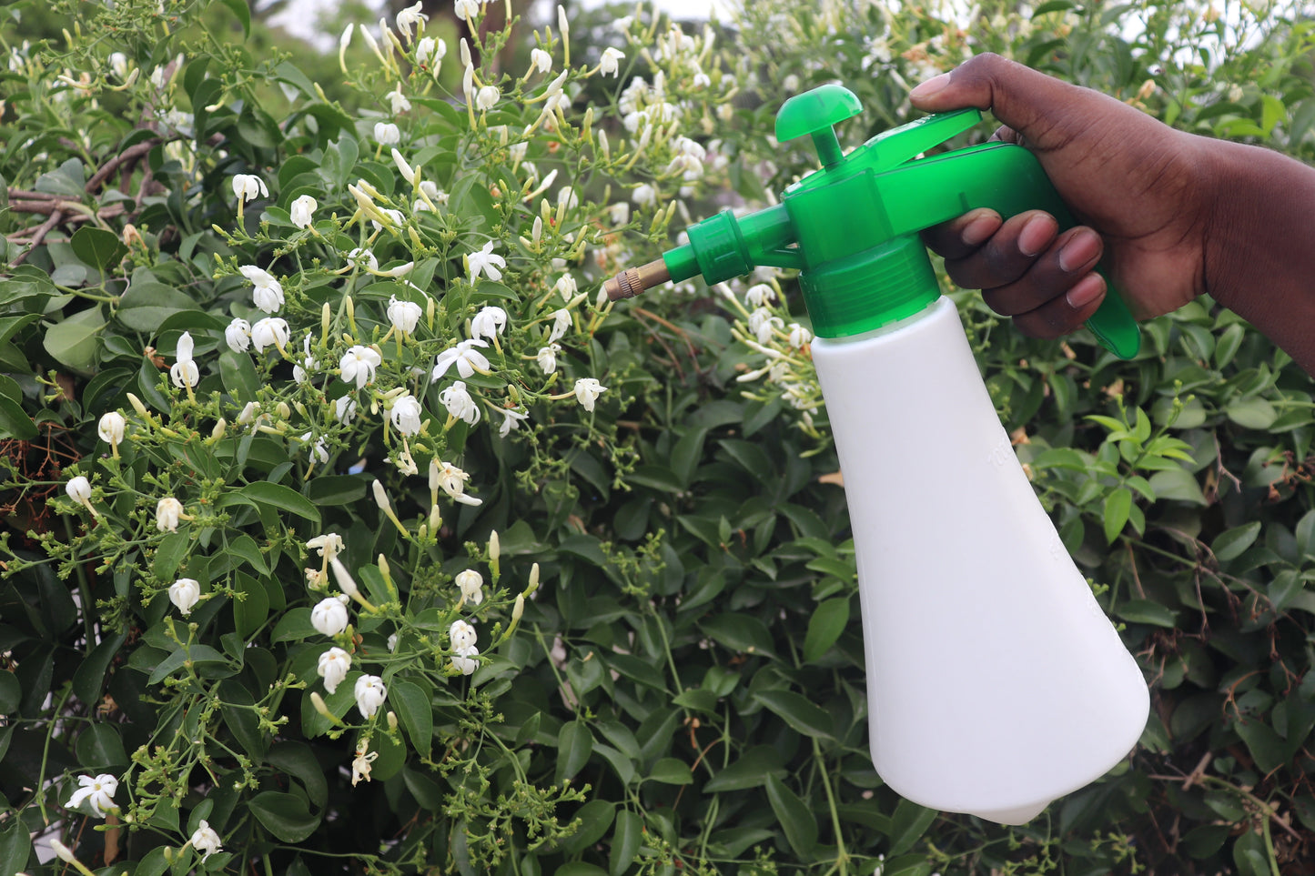 1 Litre Pressure Sprayer