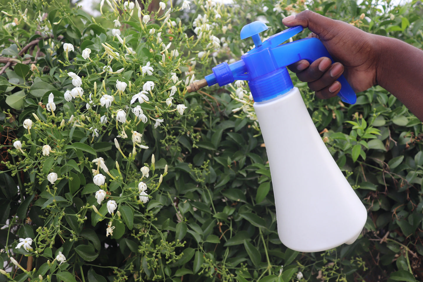 1 Litre Pressure Sprayer